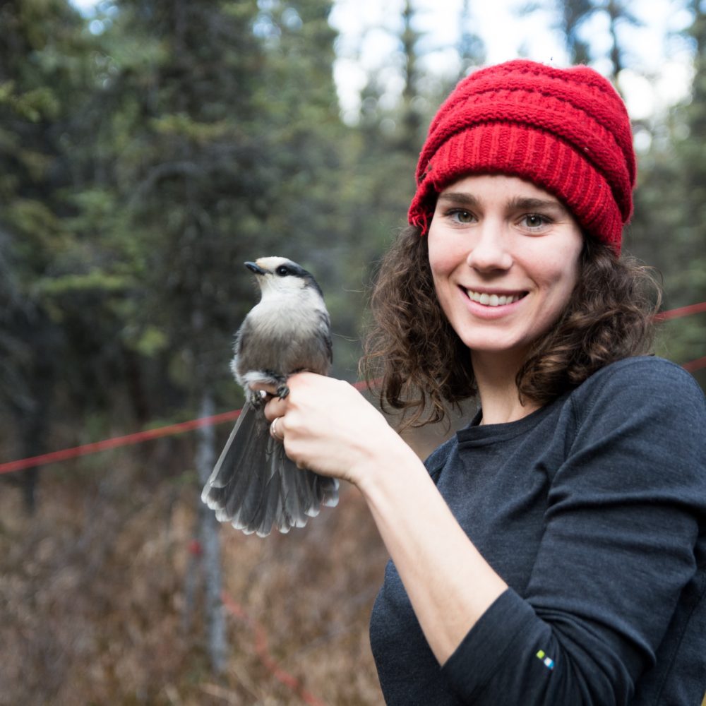 Kaeli Swift explores avid interest in avians at TEDxSalem VII